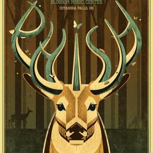 Meet your Posher, William